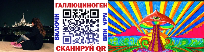 Псилоцибиновые грибы Cubensis  Североуральск 