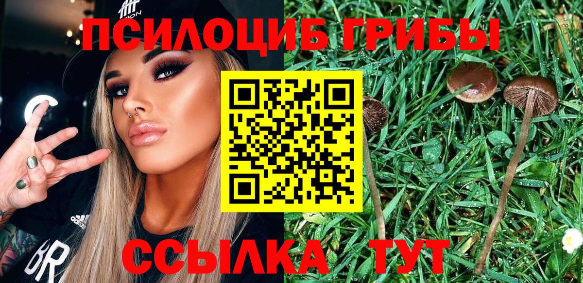 Галлюциногенные грибы прущие грибы  Галлюциногенные грибы мухоморы  Североуральск  Вход с VPN 