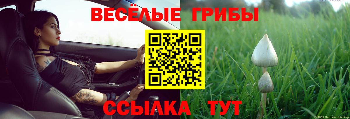 Галлюциногенные грибы мицелий Североуральск